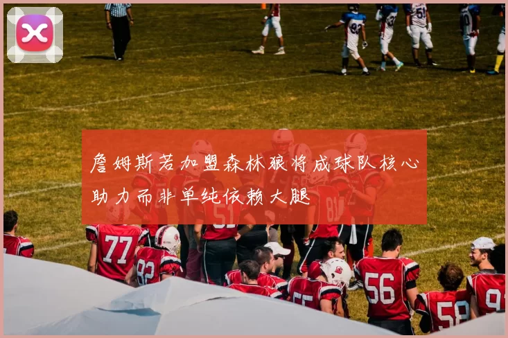 詹姆斯若加盟森林狼将成球队核心助力而非单纯依赖大腿