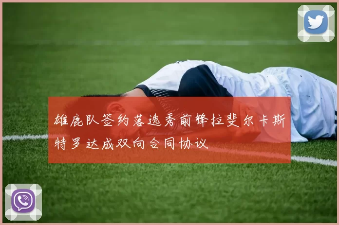 雄鹿队签约落选秀前锋拉斐尔卡斯特罗达成双向合同协议